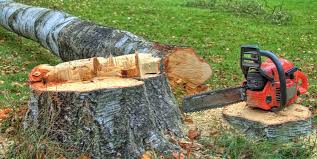 Best Tree Mulching  in Waterloo, IA
