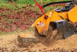 Best Commercial Tree Services  in Waterloo, IA
