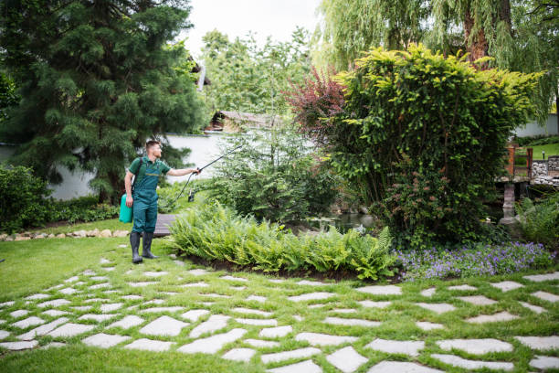 Best Hazardous Tree Removal  in Waterloo, IA
