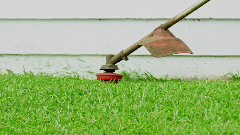 Best Stump Grinding and Removal  in Waterloo, IA
