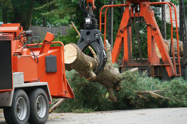 Best Lawn Pest Prevention  in Waterloo, IA